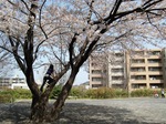 DSC_0105.JPG