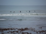 DSC_2023.JPG