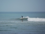 DSC_2031.JPG
