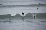 DSC_4842.JPG