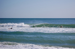 DSC_9608.JPG